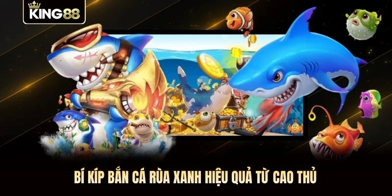 Bí kíp bắn cá rùa xanh hiệu quả từ cao thủ