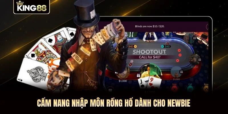 Cẩm nang nhập môn Rồng Hổ dành cho newbie