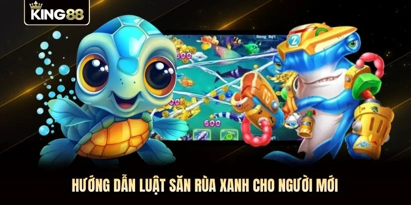Hướng dẫn luật săn rùa xanh cho người mới