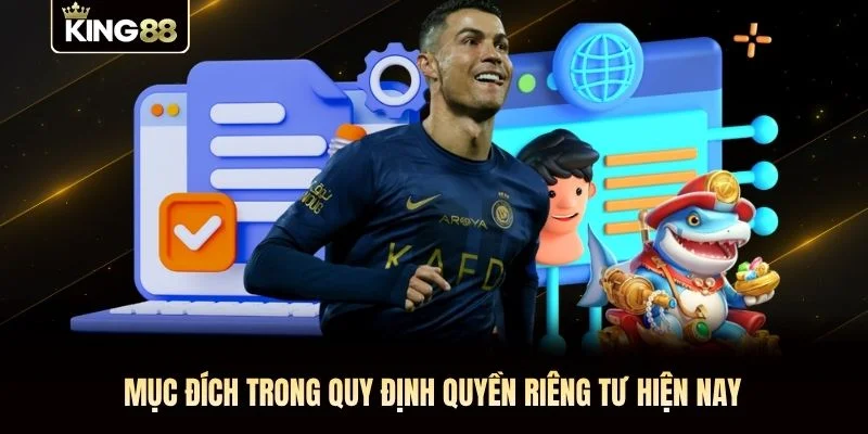 Mục đích trong quy định quyền riêng tư hiện nay